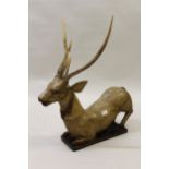 Antique painted wooden and antler horn figure of a stag, 33ins high