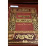 Two volumes Brayley & Walford, ' History of Surrey ', published J.S Virtue & Company, together