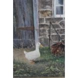 Nigel Hallard, oil on board, a duck before a barn door, signed 7.5ins x 5.5ins, gilt framed,