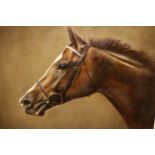 Frank L. Geere, oil on canvas, head study of a horse in bridle, signed and gilt framed, 15.5ins x