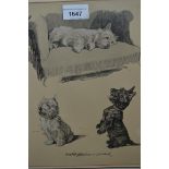 Three framed Cecil Aldin coloured prints of dogs, 11ins x 8ins each approximately