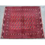 Afghan carpet with rows of nine gols on a wine red ground, with multiple borders, 8ft 8ins x 7ft