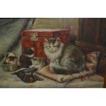 Late 20th Century oil on board, study of cats, gilt framed, 6ins x 8ins approximately