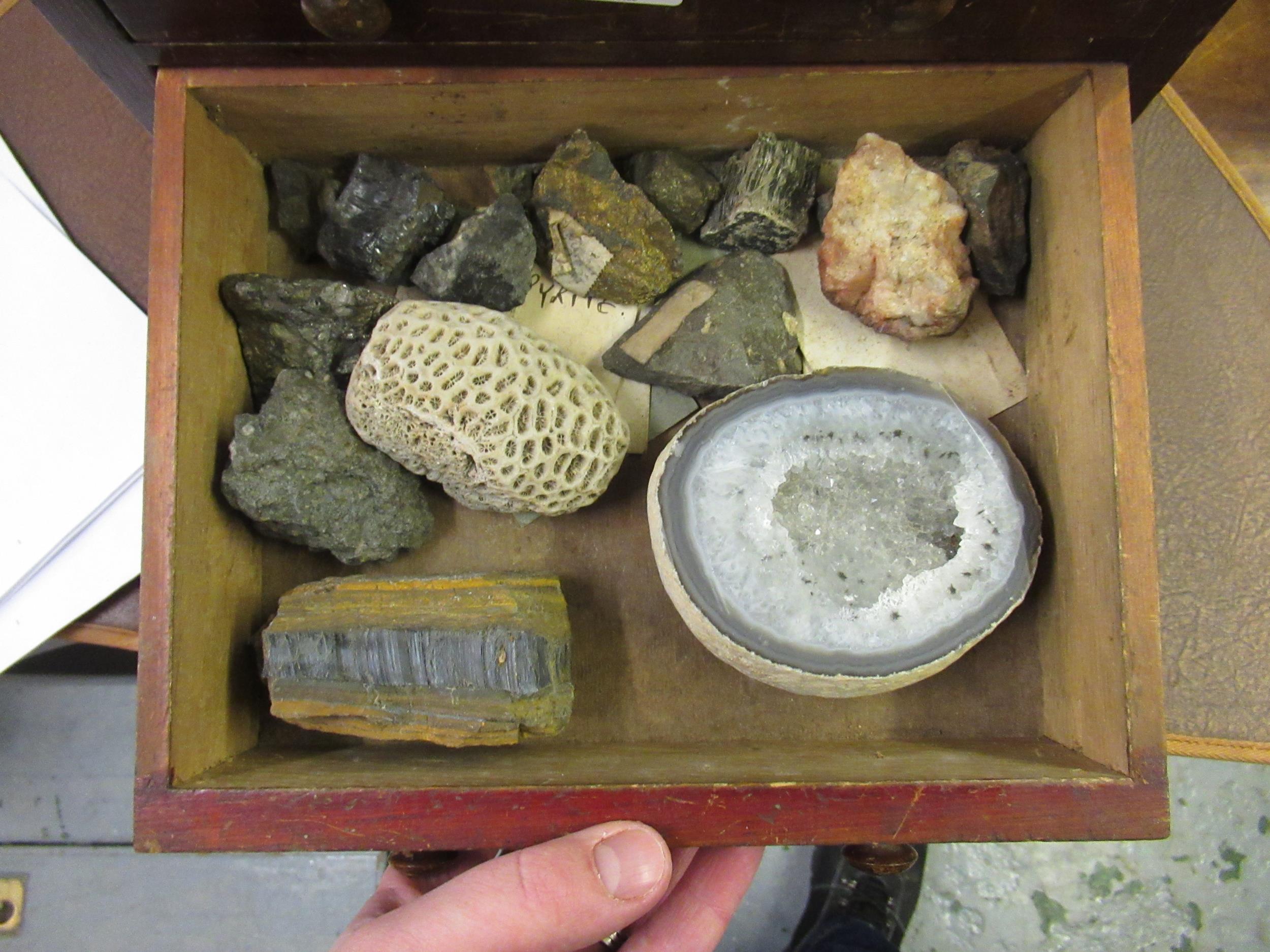 Stained pine collectors cabinet containing a collection of various crystals and minerals, - Image 6 of 7