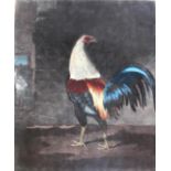 AFTER BEN MARSHALL (1768-1835) THE COCK IN FEATHER Aquatint and engraving with hand colouring, by