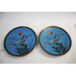 PAIR OF JAPANESE CLOISONNE DISHES a pair of cloisonne dishes decorated with birds, flowers and