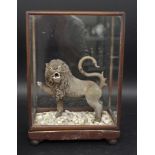 ORIENTAL TERRACOTTA LION & GLASS CASE a terracotta figure of a roaring lion with one foot raised, on