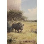 •JOHN CYRIL HARRISON (1898-1985) RHINOCEROS, AFRICA Signed, watercolour and pencil 47 x 32.5cm. ++