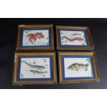 CHINESE PITH PAINTINGS - FISH four framed pith paintings with depictions of fish and aquatic