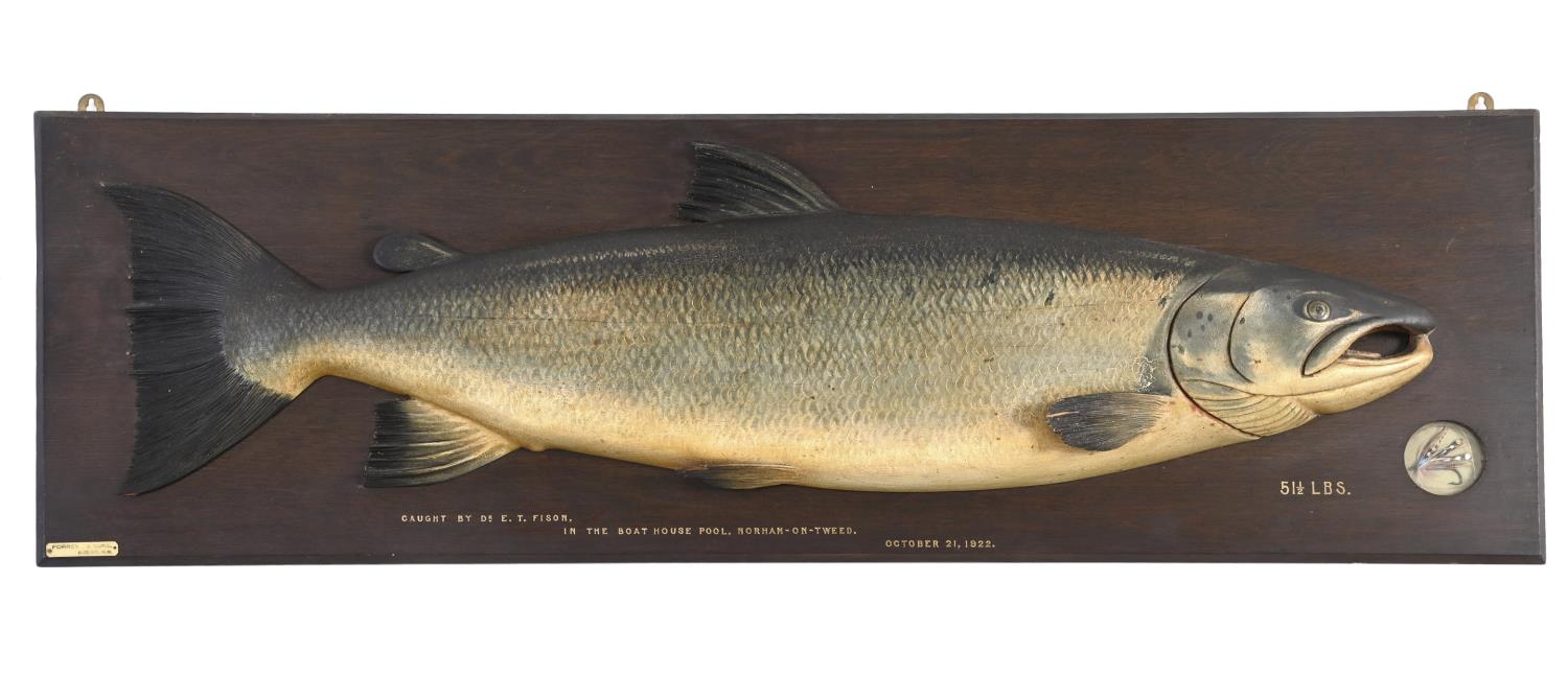 CARVED & PAINTED HALF BLOCK MODEL OF A SALMON - NORHAM ON TWEED, 1922 a large and impressive painted