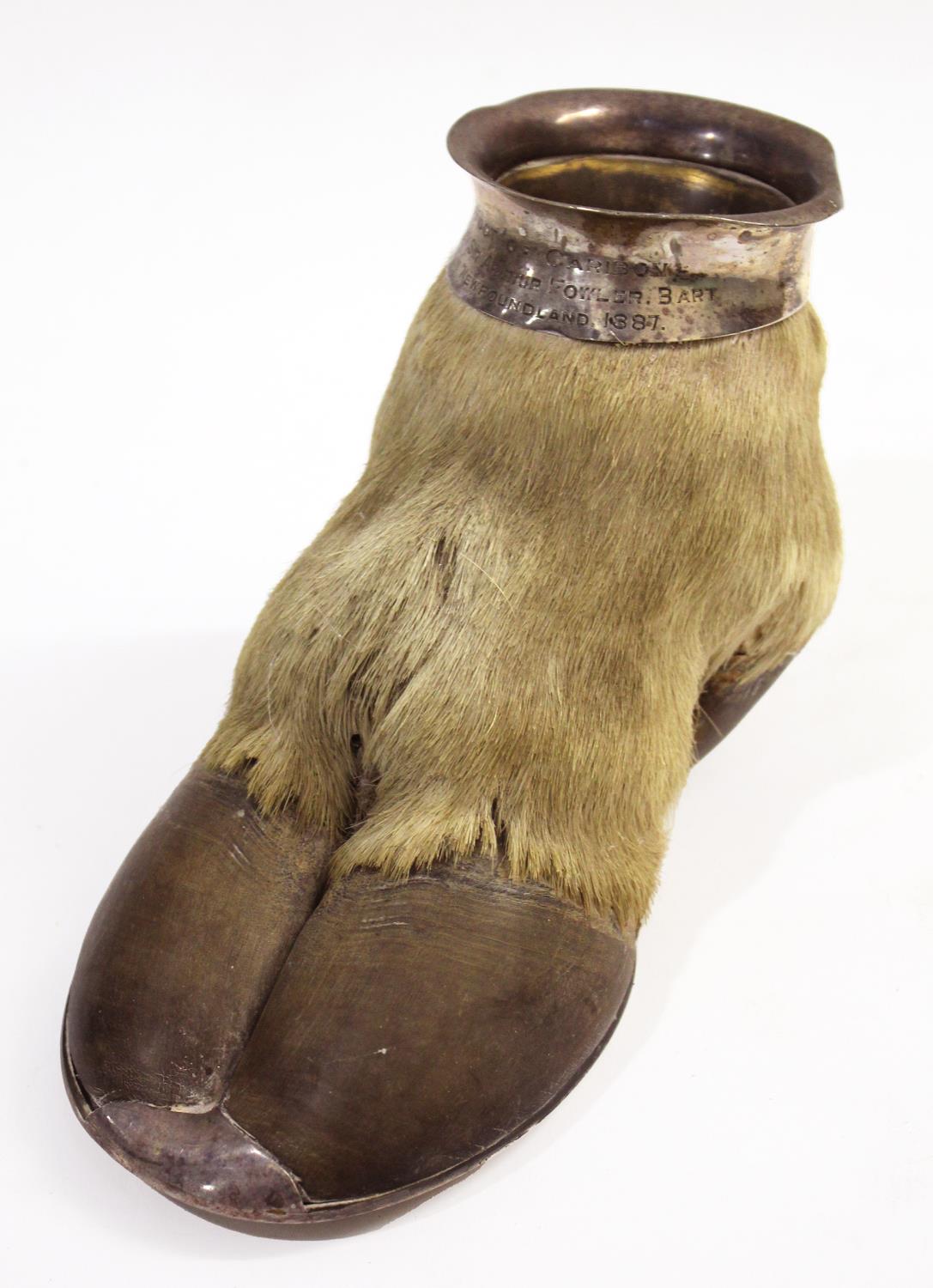 MOUNTED CARIBOU FOOT - NEWFOUNDLAND, 1887 - RAILWAY INTEREST a Caribou foot mounted in silver or
