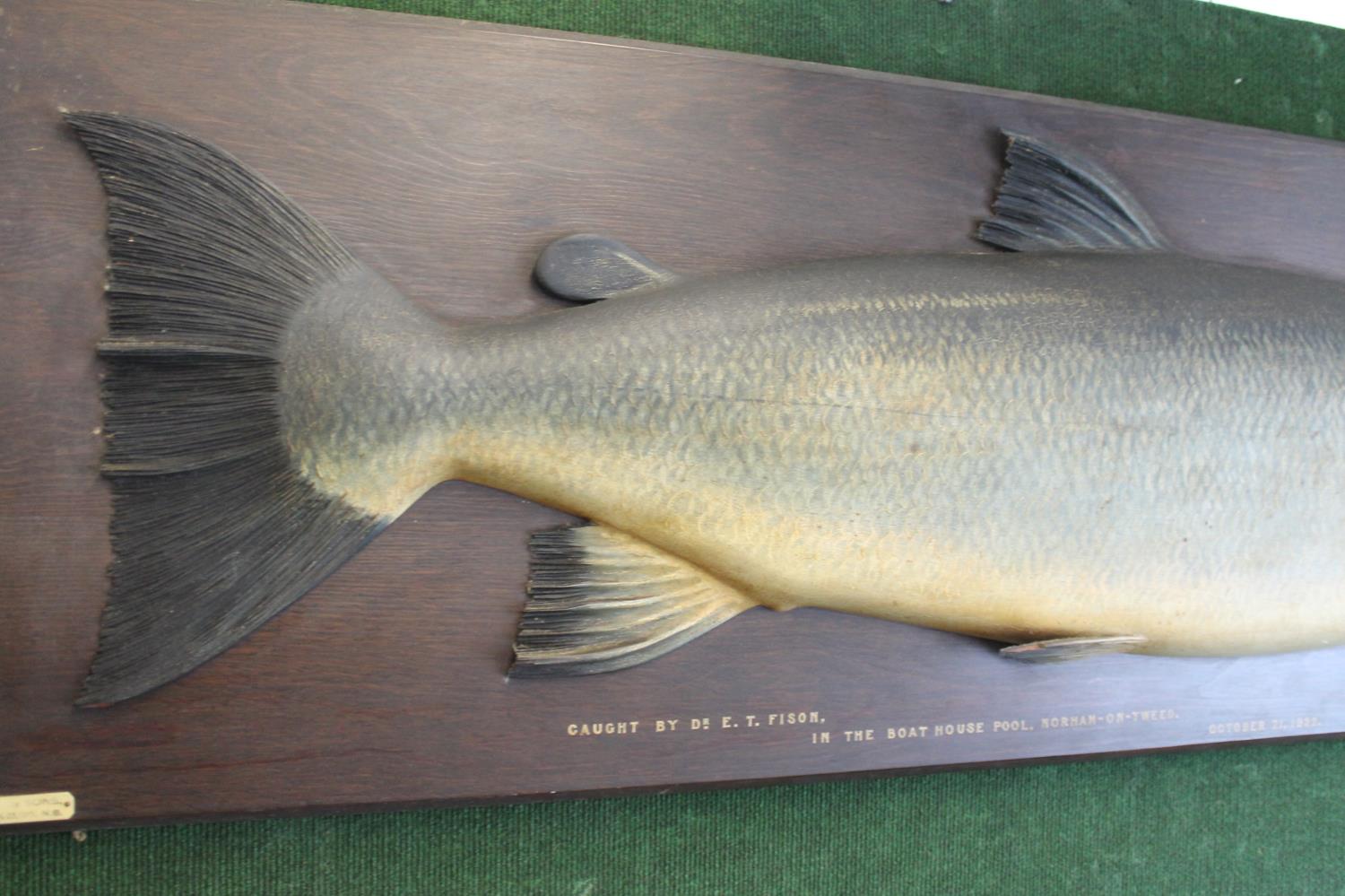 CARVED & PAINTED HALF BLOCK MODEL OF A SALMON - NORHAM ON TWEED, 1922 a large and impressive painted - Image 25 of 25