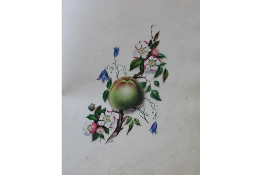 AN ALBUM OF DRAWINGS & WATERCOLOURS, c.1832-1850 comprising approximately 31 leaves of writing, - Image 3 of 3