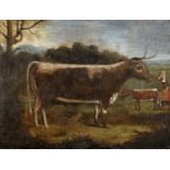 ENGLISH PROVINCIAL SCHOOL, 18th CENTURY A LONGHORN WITH A CALF AND A DAIRY MAID Oil on canvas,