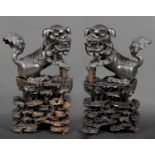 LARGE PAIR OF CHINESE BRONZE DOGS OF FO & CARVED WOODEN STANDS early 20thc, a large pair of bronze