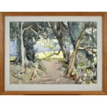 ARTHUR HENRY KNIGHTON HAMMOND (1875-1970). A GLADE OF TREES. (d) Signed, watercolour over traces