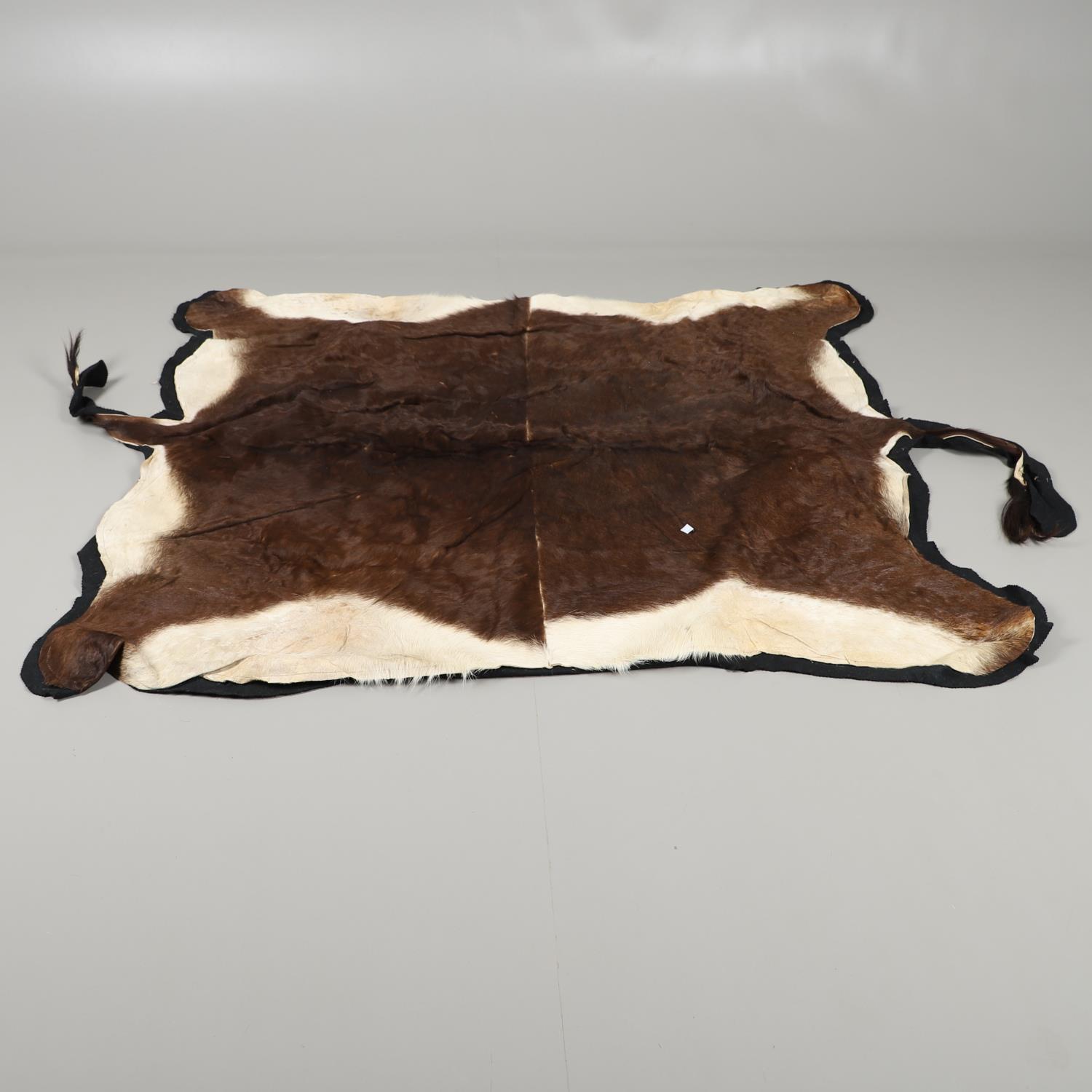 VARIOUS ANIMAL SKINS. - Image 11 of 12