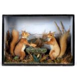 CASED SQUIRRELS PLAYING CARDS.
