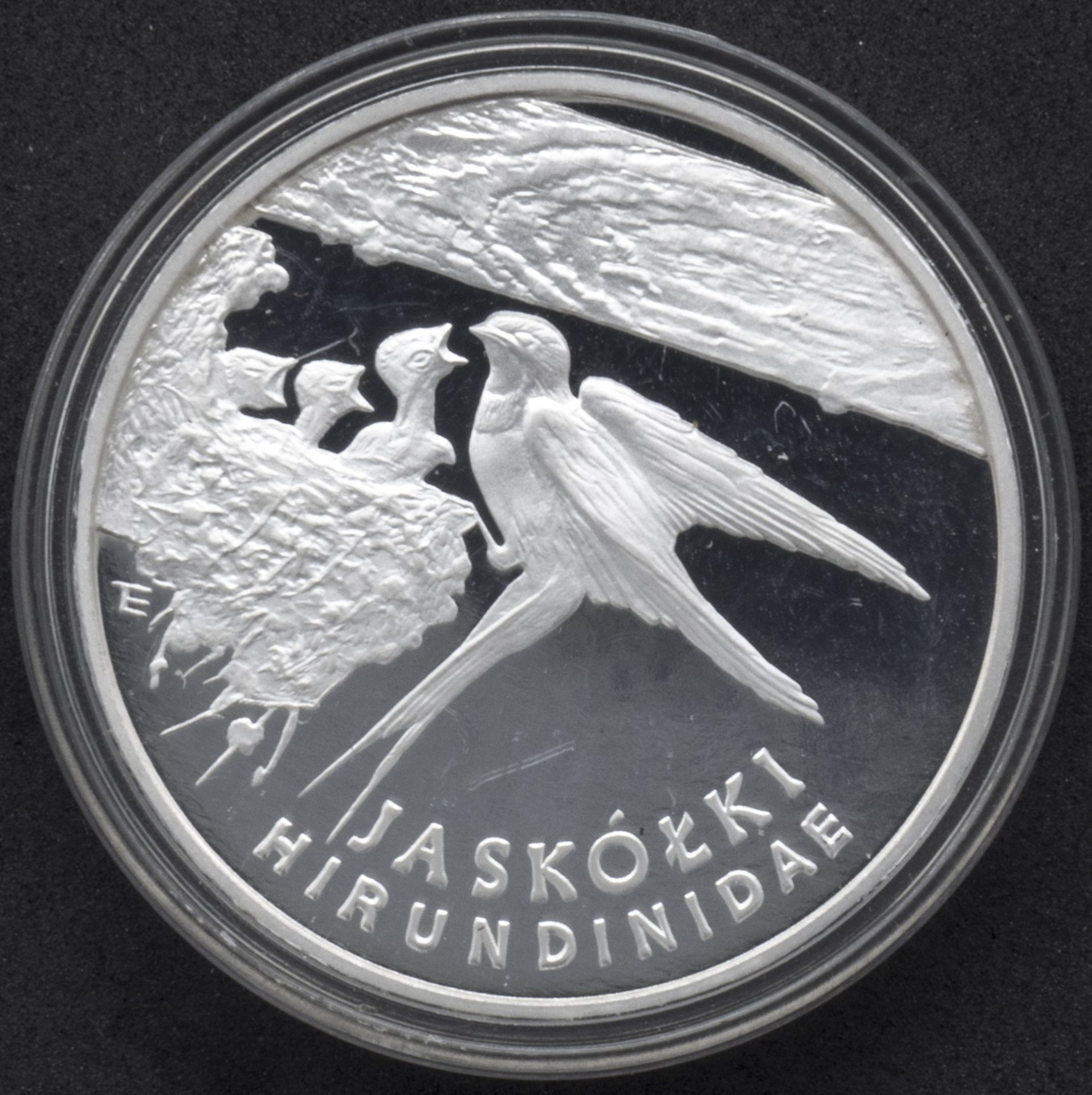 Polen 1993, 300000 Zloty, Schwalbe, Silber. KM 248. PP.