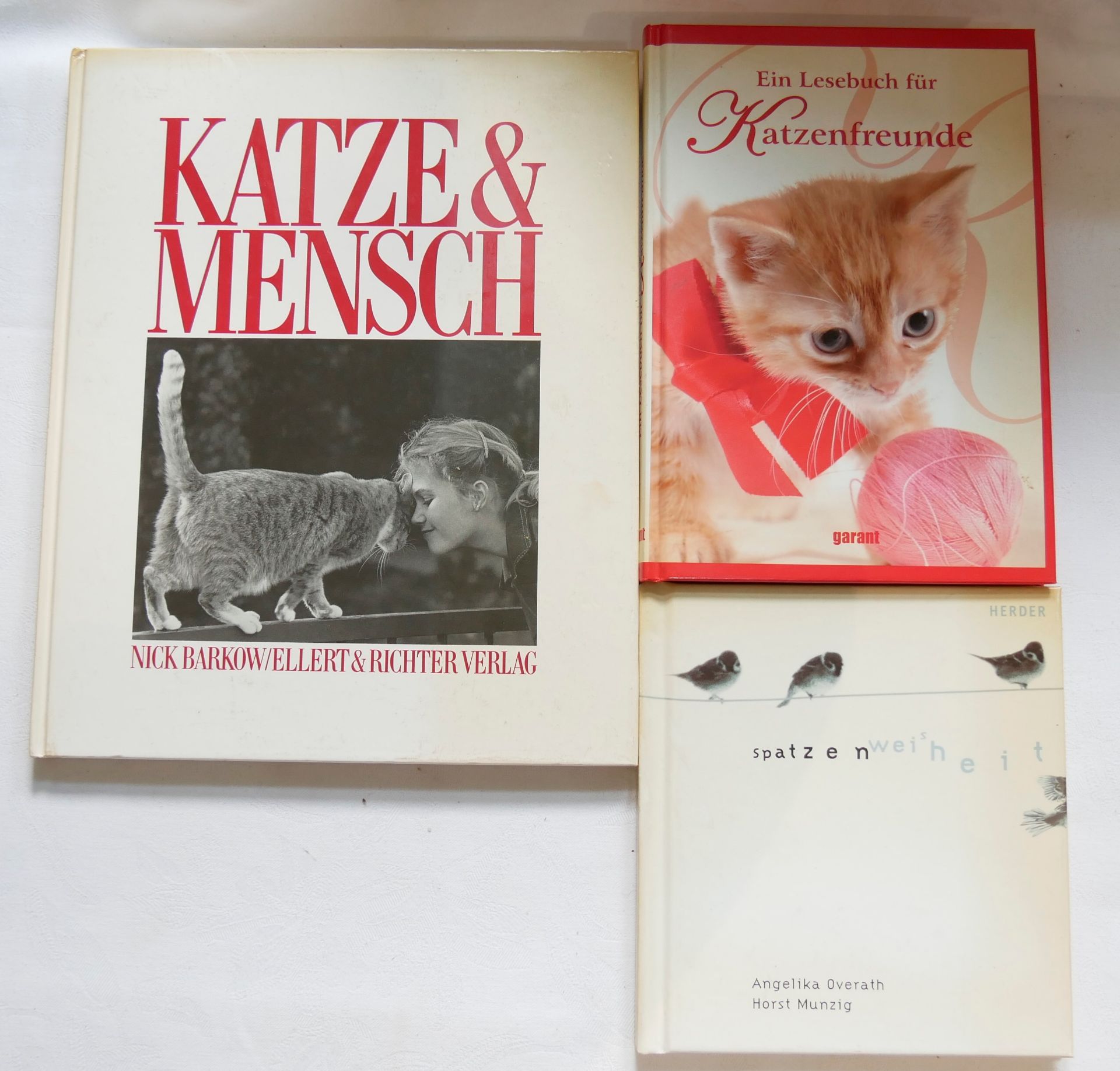 3 Bücher zum Thema Katzen