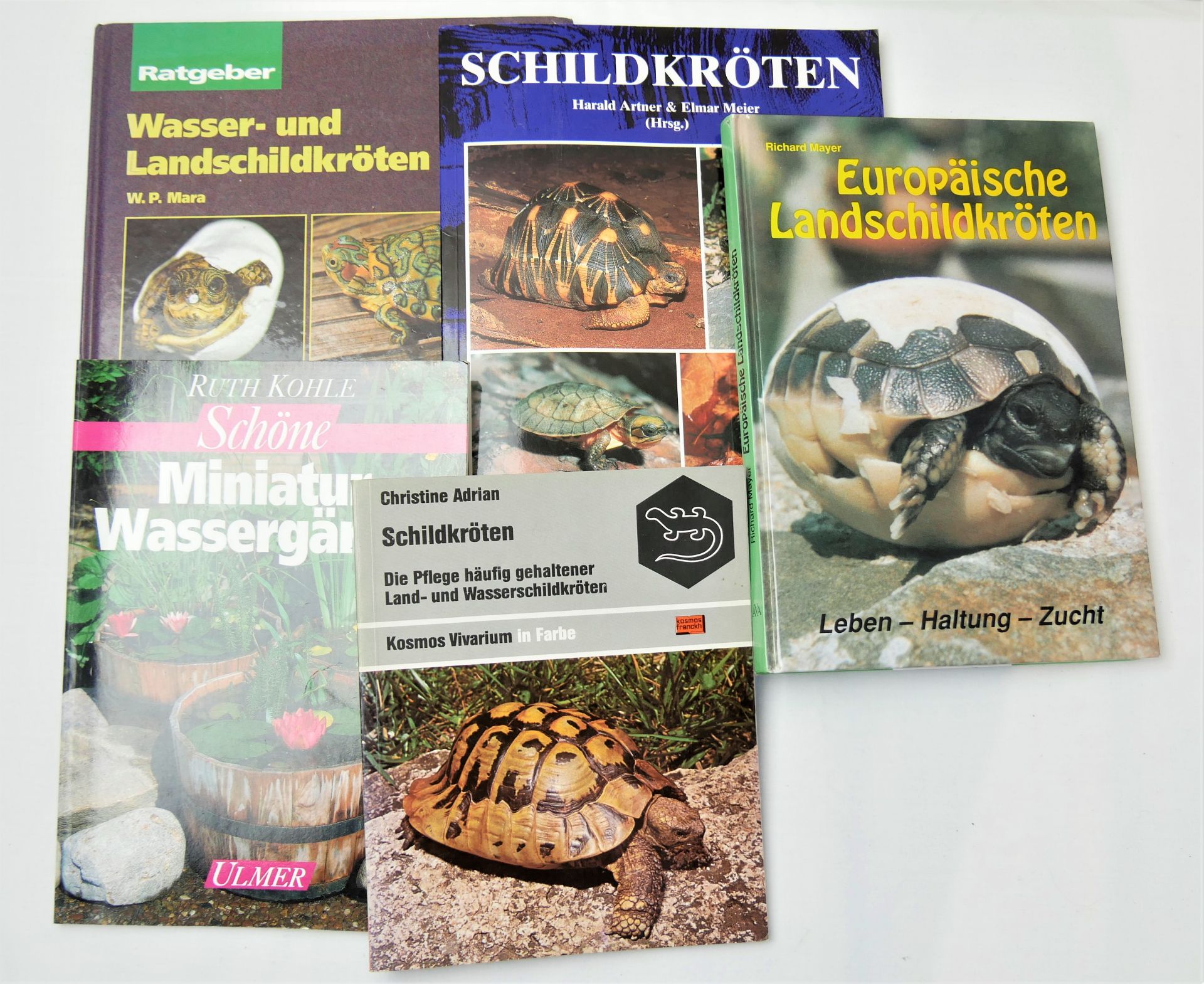 kleines Bücher Konvolut Schildkröten , Wasser & Land