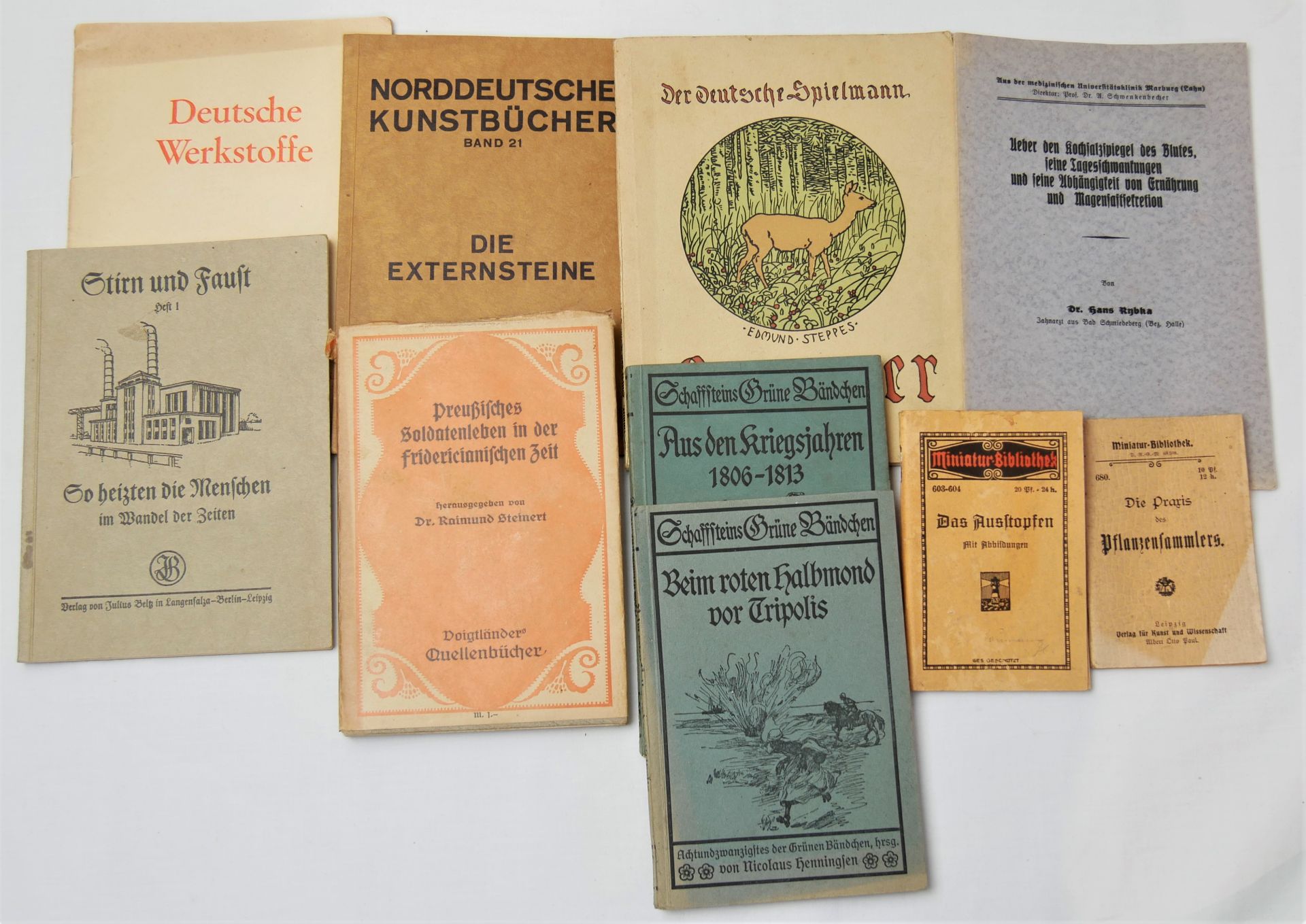 kleines Konvolut Jugendliteratur der 30er Jahre, Abenteuer, Reisen, Naturkunde