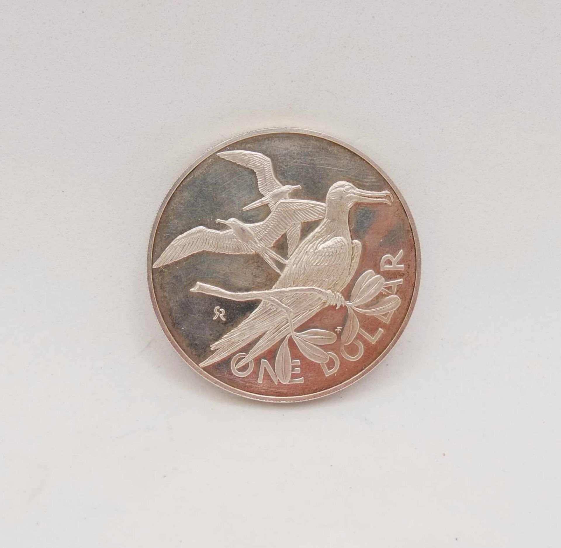 British Virgin Islands 1973, 1 Dollar, Motiv Fregattenvogel. Silber. Sehr guter Zustand. - Bild 2 aus 2