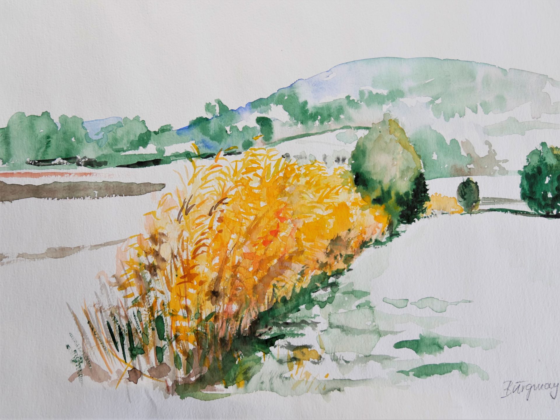 Burgmayer, Aquarell auf Papier, "Herbstlandschaft", Signatur Burgmayer 86, ca. 36 x 50cm - Bild 2 aus 3