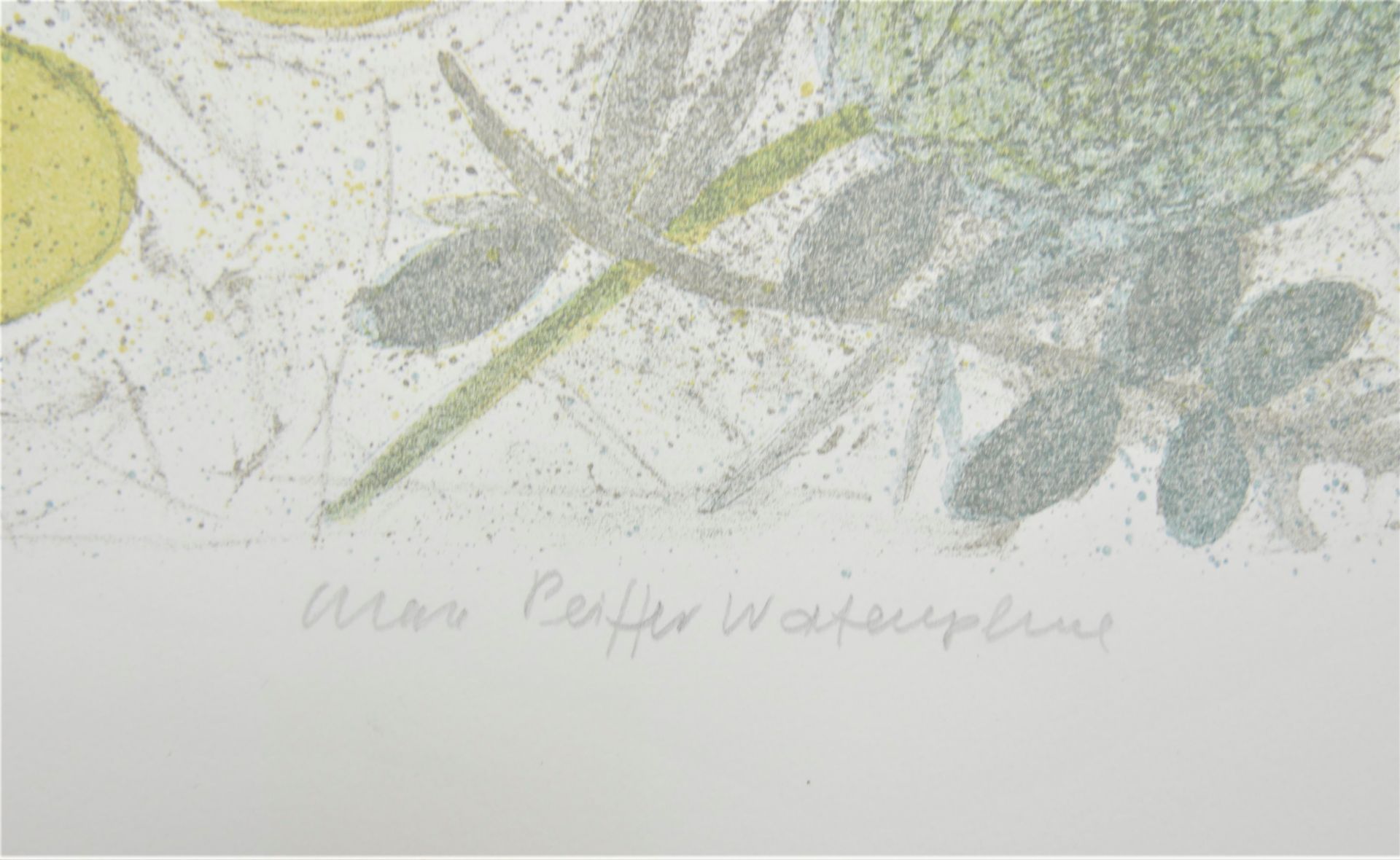 Max-Pfeiffer-Wattenphul (1886-1976), Farblithographie "Artischocken", Signatur Max Pfeiffer- - Image 3 of 3