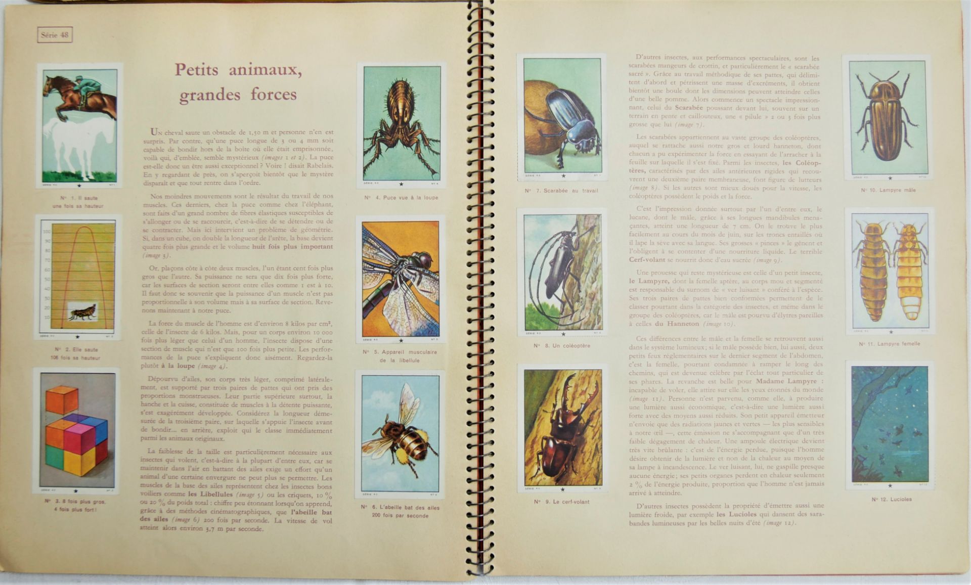 "Les Merveilles Du Monde", Volume I 1953-1954, Volume II 1956- 1957 und Volume III 1956-1957, - Bild 2 aus 3