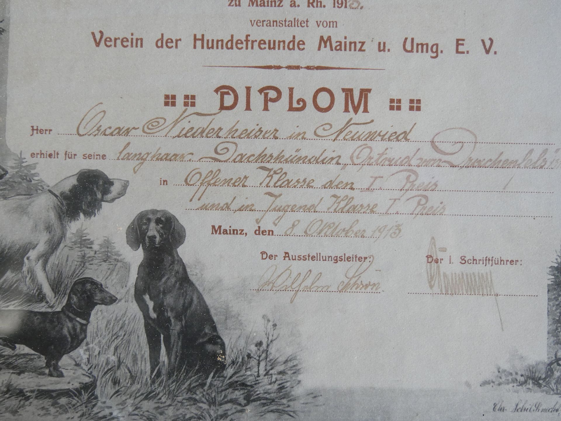 Diplom "Internationale Ausstellung von Hunden aller Rassen" Mainz 1913. Hinter Glas gerahmt. Maße: - Bild 3 aus 3