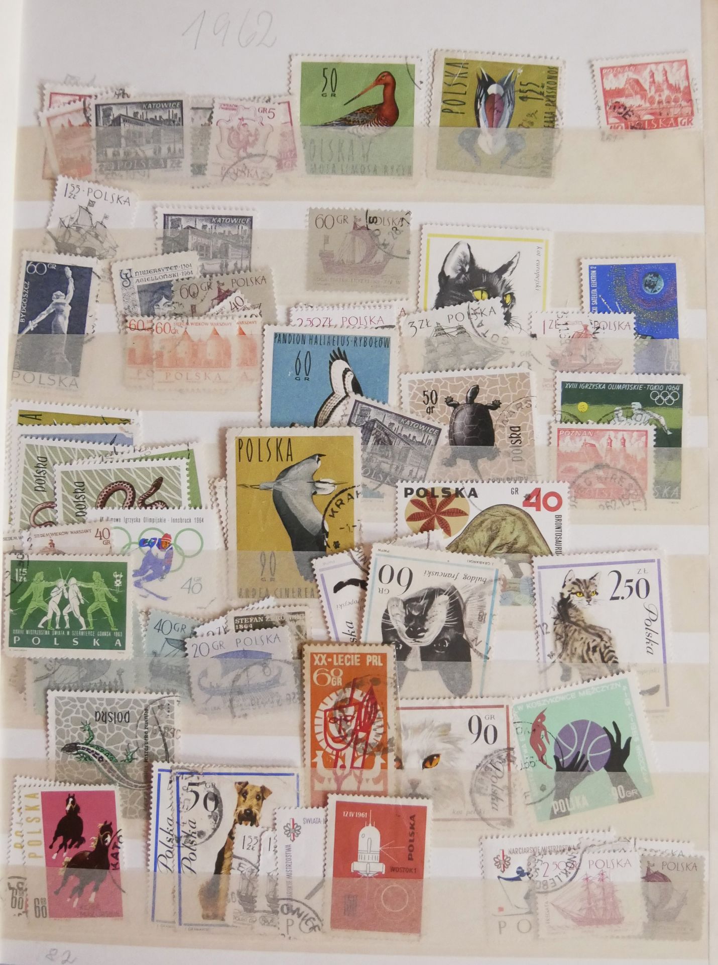 Lot Polen Briefmarken in 7 Alben + 1x Vordruckblätter ca. 1919 - 2005. Alle Erhaltungen, große - Image 3 of 4