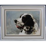 JOHN C. EDWARDS (20TH CENTURY) CAM, 7 1/2 YRS, PORTRAIT OF A SPANIEL OIL ON BOARD, SIGNED, INSCRIBED