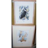 •AR A GROUP OF THREE FRAMED DECORATIVE WATERCOLOURS, INCLUDING A WATERCOLOUR STUDY OF A PUFFIN