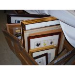 TWO BOXES - ASSORTED DECORATIVE PICTURES, PRINTS, FISHING FLY MONTAGE ETC