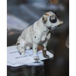 AN EARLY 20TH CENTURY COLD PAINTED BRONZE MODEL OF A SEATED DOG WITH WHITE, BLACK AND ORANGE PAINTED