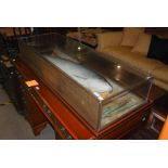 A LARGE MODERN CASED MODEL OF A SALMON, THE PAINTED MODEL OF THE SALMON WITH NATURALISTIC REED AND