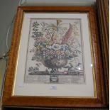 A PAIR OF DECORATIVE FRAMED PRINTS OF FLOWERS, EACH A REPRODUCTION PRINT OF AN 18TH CENTURY ETCHING,