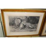 A LARGE LATE 19TH CENTURY ENGRAVING OF LIONS AFTER A PAINTING BY ROSA BONHEUR DATED 1881,