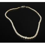 An early 20th century single strand of graduated cultured pearls, grading from 6mm to 3mm, with a