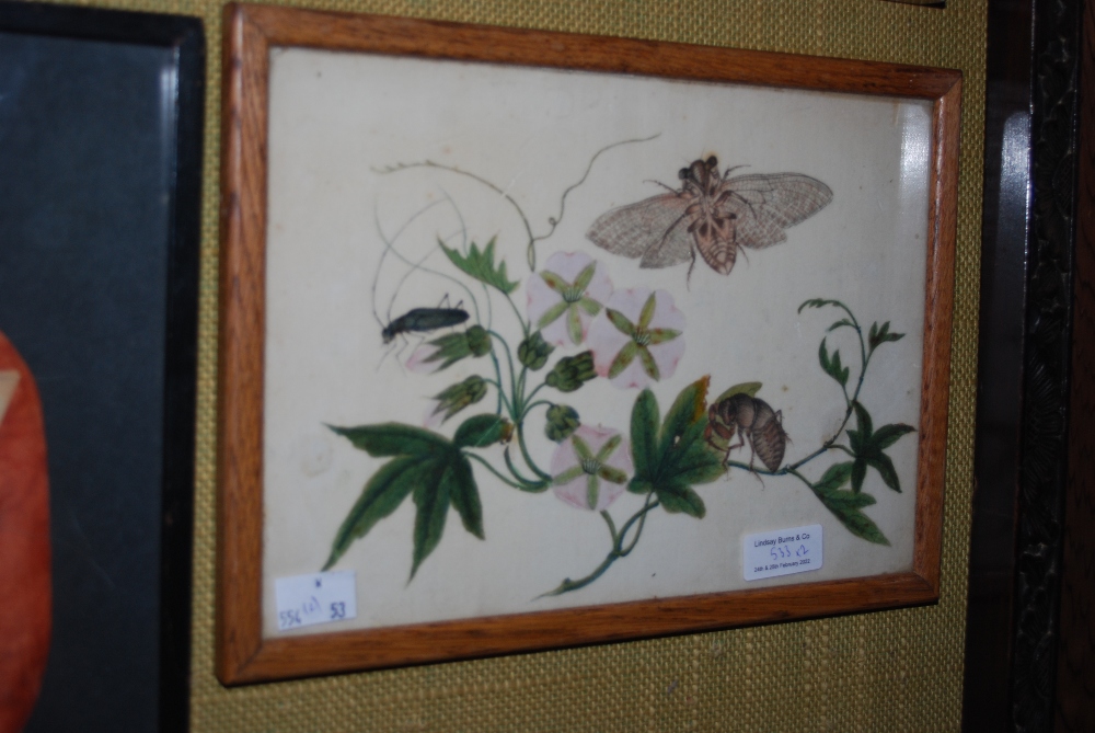 A PAIR OF LATE 19TH / EARLY 20TH CENTURY CHINESE PITH PAINTINGS, DEPICTING DRAGONFLY AND CICADAS - Image 2 of 2