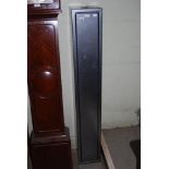 BOXX SECURITY GUN CABINET WITH KEYS.