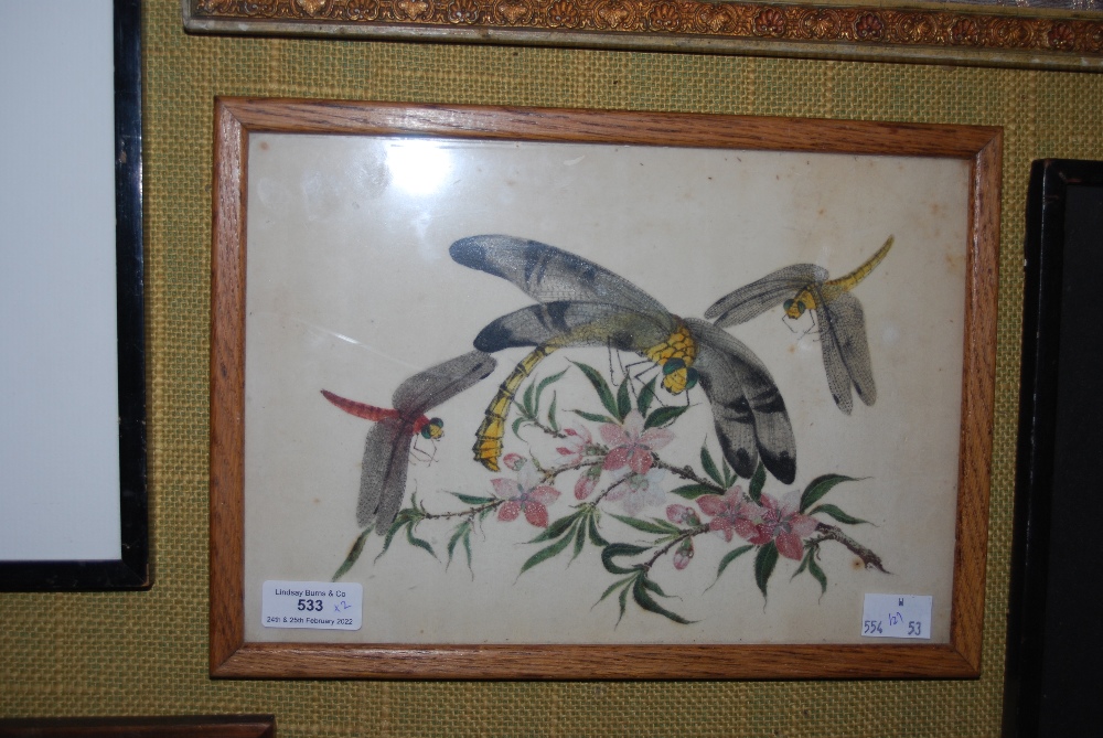 A PAIR OF LATE 19TH / EARLY 20TH CENTURY CHINESE PITH PAINTINGS, DEPICTING DRAGONFLY AND CICADAS