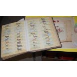 VINTAGE CIGARETTE CARD ALBUM, TOGETHER WITH VARIOUS LOOSE BOTANICAL PRINTS AND ONE VOLUME 'OLD