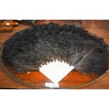 A LATE 19TH / EARLY 20TH CENTURY IVORY AND BLACK OSTRICH FEATHER FAN