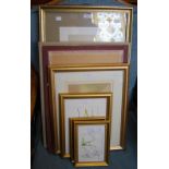 A GROUP OF EIGHT FRAMED DECORATIVE PICTURES, INCLUDING PRINTS OF BOTANICAL STUDIES, AN AQUATINT