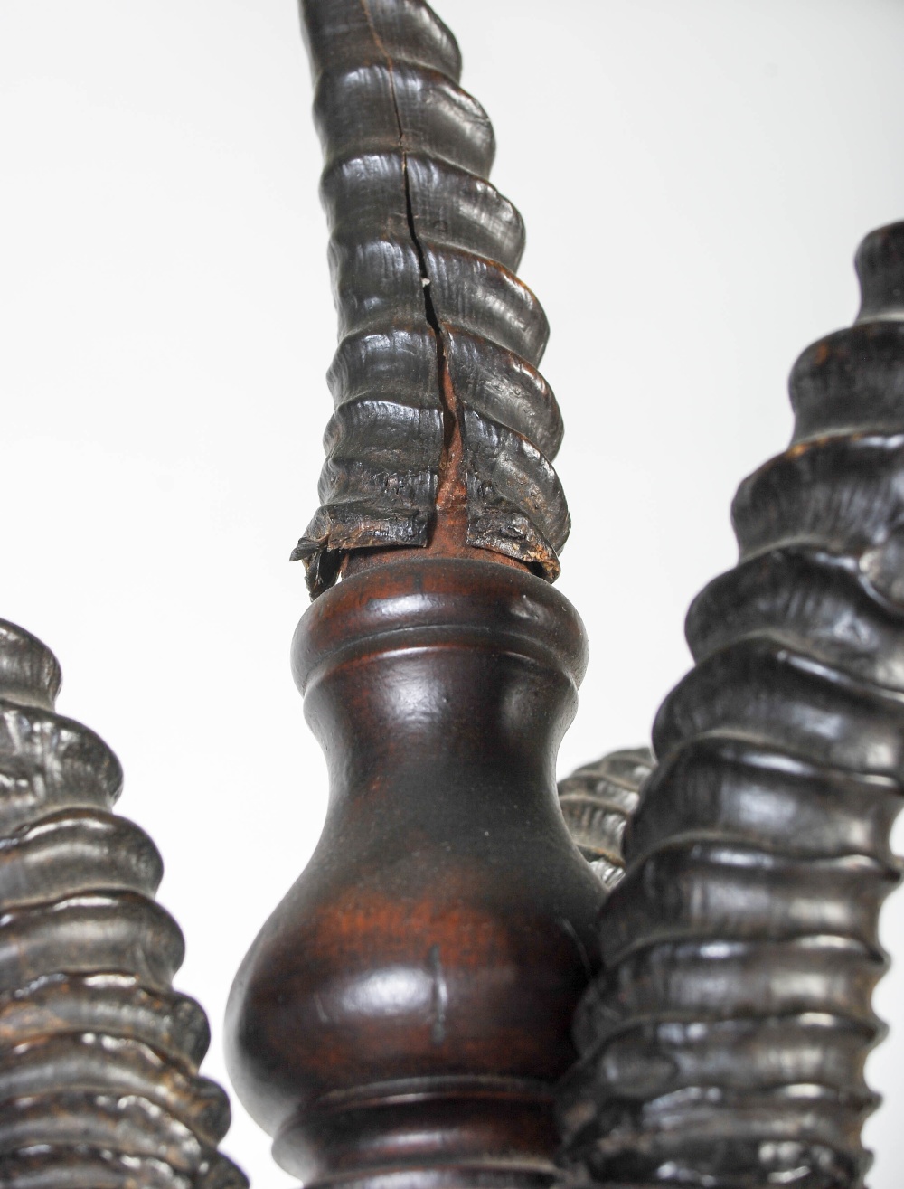 A late 19th / early 20th century turned mahogany and antelope horn mounted coat stand, the horns - Image 7 of 11