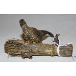 A LATE 19TH/EARLY 20TH CENTURY COLD PAINTED BRONZE MODEL OF A CORN SHEAF AND TWO HARES, TOGETHER