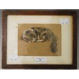 •AR LUCY DAWSON (1867-1954) - 'HUFFIE', STUDY OF A CAT, CHARCOAL AND CHALK, SIGNED LOWER LEFT, 9CM X
