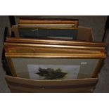 BOX OF ASSORTED DECORATIVE PICTURES AND PRINTS TO INCLUDE TOPOGRAPHICAL VIEWS, ETC
